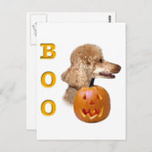Apricot Coated Poodle Postkarte (Vorne/Hinten)