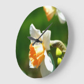 Apricot Daffodil Wall Clock Große Wanduhr (Winkel)