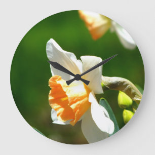 Apricot Daffodil Wall Clock Große Wanduhr
