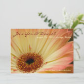 Apricot Gerbera ・ Ankündigung Datum freihalten (Stehend Vorderseite)
