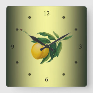 Apricot ~ Giorgio Gallesio ~ Botanisches Obst ~ Quadratische Wanduhr