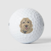 Apricot Golden Doodle Golfball (Vorderseite)