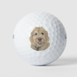 Apricot Golden Doodle Golfball