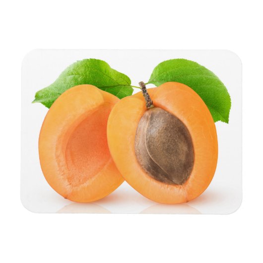 Apricot halves magnet (Horizontal)