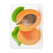 Apricot halves magnet (Vertikal)