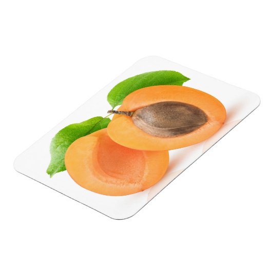 Apricot halves magnet (Linke Seite)