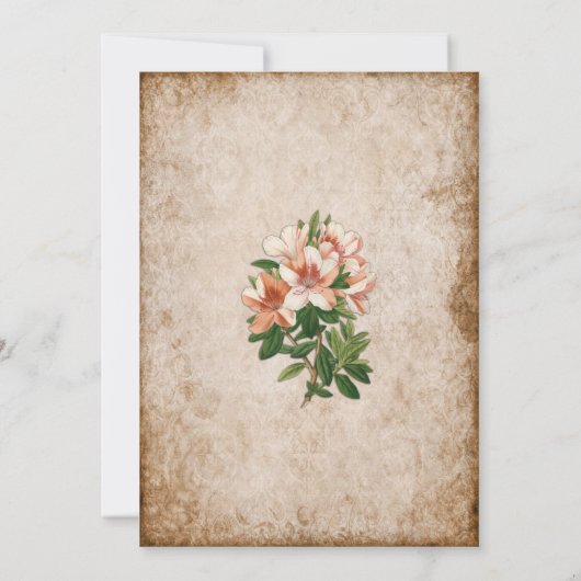 Apricot Lilies Vintager Abschluss Einladung (Rückseite)