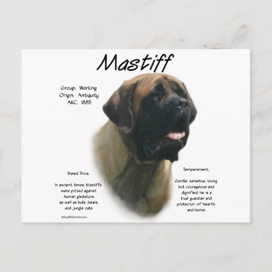 Apricot Mastiff Geschichte Postkarte (Vorderseite)