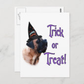 Apricot Mastiff Trick Postcard Postkarte (Vorne/Hinten)