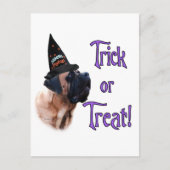 Apricot Mastiff Trick Postcard Postkarte (Vorderseite)