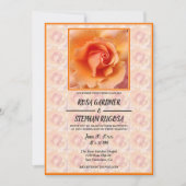 Apricot Peach Rose Blume Blossom / Gerahmte Hochze Einladung (Vorderseite)