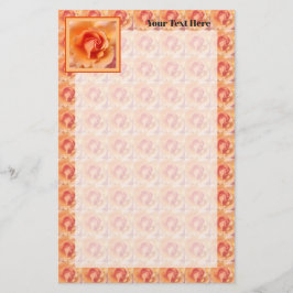 Apricot Peach Rose Blume Nah Up Foto Design Briefpapier