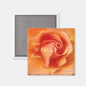 Apricot Peach Rose Blume Nah Up Foto Magnet (Vorderseite/Rückseite)