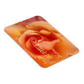 Apricot Peach Rose Blume Nah Up Foto Magnet (Rechte Seite)