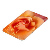 Apricot Peach Rose Blume Nah Up Foto Magnet (Linke Seite)