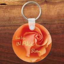 Apricot Peach Rose Blume Nah Up Foto