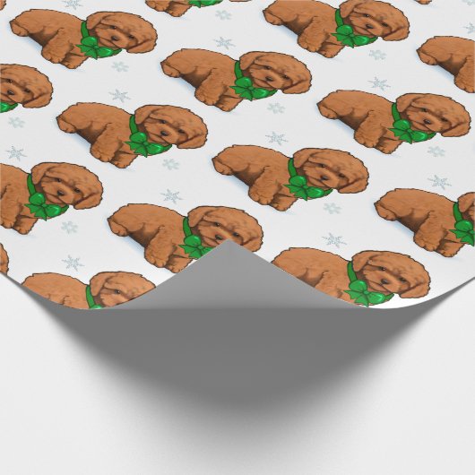 Apricot Poodle in einem weihnachtlichen Wrapping P Geschenkpapier (Ecke)