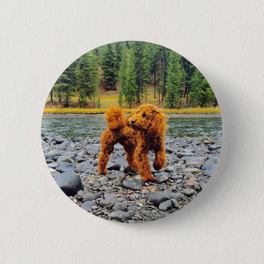 Apricot Poodle - individualisierbares Geschenk Button (Vorderseite)
