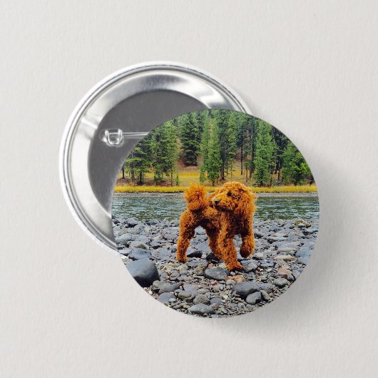 Apricot Poodle - individualisierbares Geschenk Button (Vorne & Hinten)