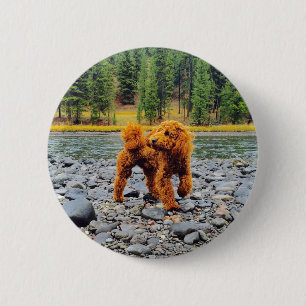 Apricot Poodle - individualisierbares Geschenk Button
