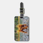 Apricot Poodle - individualisierbares Geschenk Gepäckanhänger (Vorderseite vertikal)