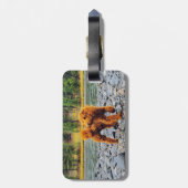 Apricot Poodle - individualisierbares Geschenk Gepäckanhänger (Rückseite vertikal)