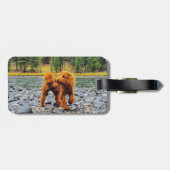 Apricot Poodle - individualisierbares Geschenk Gepäckanhänger (Rückseite horizontal)