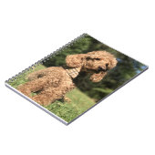 Apricot Poodle individuell anpassbar Notizblock (Linke Seite)