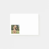 Apricot Poodle individuell anpassbar Post-it Klebezettel (Vorderseite)