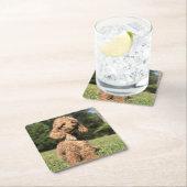 Apricot Poodle individuell anpassbar Rechteckiger Pappuntersetzer (Vor Ort)