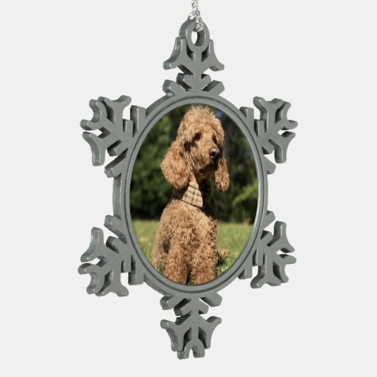 Apricot Poodle individuell anpassbar Schneeflocken Zinn-Ornament (Links)
