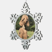 Apricot Poodle individuell anpassbar Schneeflocken Zinn-Ornament (Rechts)