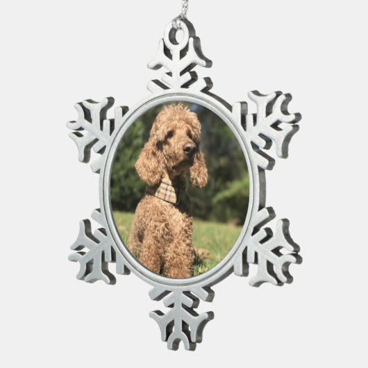 Apricot Poodle individuell anpassbar Schneeflocken Zinn-Ornament (Rechts)