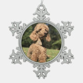Apricot Poodle individuell anpassbar Schneeflocken Zinn-Ornament (Vorderseite)
