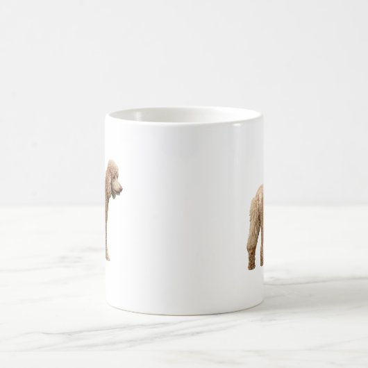 Apricot Poodle Kaffeetasse (Mittel)