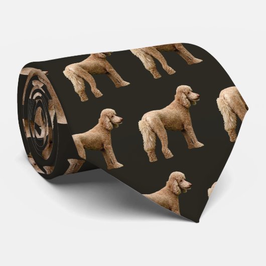 Apricot Poodle Krawatte (Gerollt)