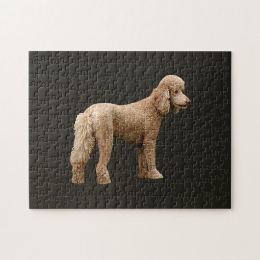 Apricot Poodle Puzzle (Horizontal)