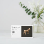 Apricot Poodle Visitenkarte (Stehend Vorderseite)