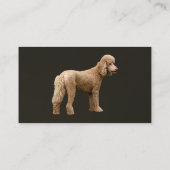 Apricot Poodle Visitenkarte (Rückseite)