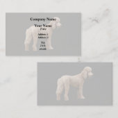 Apricot Poodle Visitenkarte (Vorne/Hinten)