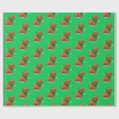 Apricot Poodle Welpe in einem Weihnachtsbock Geschenkpapier (Flach)