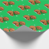 Apricot Poodle Welpe in einem Weihnachtsbock Geschenkpapier (Ecke)