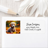 Apricot Poodle Welpe in Herbstlauben (Insitu)