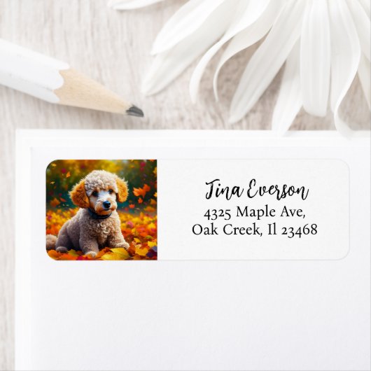 Apricot Poodle Welpe in Herbstlauben (Insitu)