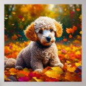 Apricot Poodle Welpe in Herbstlauben Poster (Vorne)