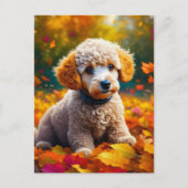 Apricot Poodle Welpe in Herbstlauben Postkarte (Vorderseite)