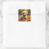 Apricot Poodle Welpe in Herbstlauben Quadratischer Aufkleber (Tasche)