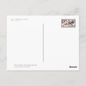 Apricot Postkarte (Rückseite)