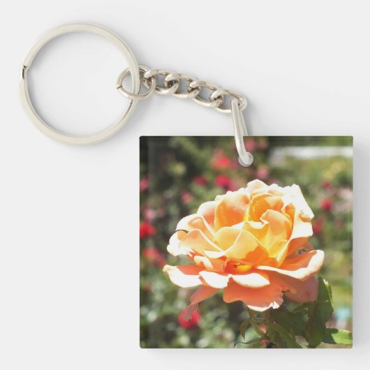 Apricot-Rose Akryllischer Schlüsselanhänger (Vorderseite)