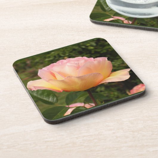 Apricot-Rose Getränkeuntersetzer (Linke Seite)